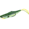 Blueback Herring