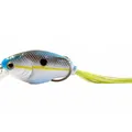 Charming Shad