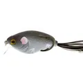 Gray Mouse