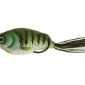 Blue Gill