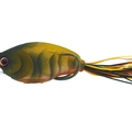 Moss Brown Craw