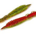 Swimming Dragonfly 124 Orange Chart Pepper
