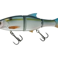 Threadfin Shad