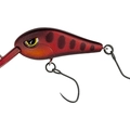 DR 516 Brown Par