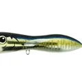 Tuna