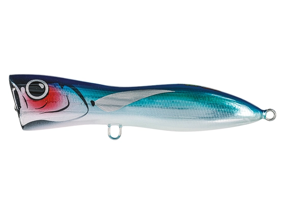 Molix TPopper EVO