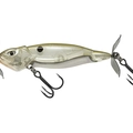 Shiner Shad