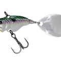 Blueback Herring