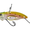 Raimbow Trout