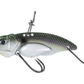 Blueback Herring
