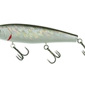 SIlver Bait