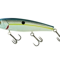 Charming Shad