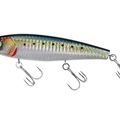TW110B SW19 Real Sarda