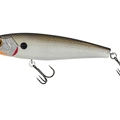 TW95B 16 MX Shiner