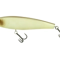 TW95B 322 Bone