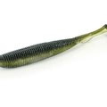 Alburno Shad