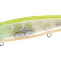 Lime Head Clear Gigo