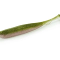 Trout