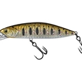 MX Brown Trout