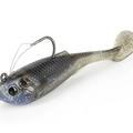 Gizzard Shad