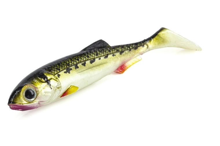 Molix RT Shad 2.8″