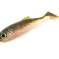 Trout