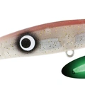 Real Firefly Squid