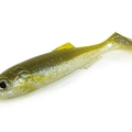 Olive Shad