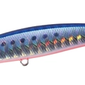 Mazume Sardine