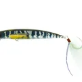 Blue Marine Shad