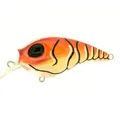 Mud Craw