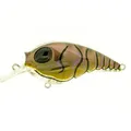 Dark Craw