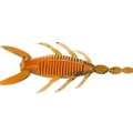 Orange Pumpkin Belly