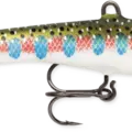 Rainbow Trout