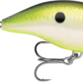 Bruised Citrus Shad