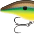 Bream