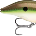 Copper Green Shad