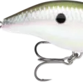 Green Gizzard Shad
