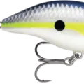 Helsinki Shad