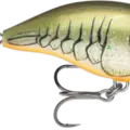 Rootbeer Craw