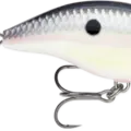 Tuxedo Shad