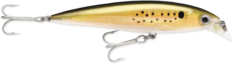 Rapala X-Rap Saltwater