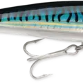Silver Blue Mackerel