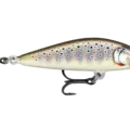 Gilded Brown Trout