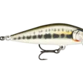 Gilded Minnow