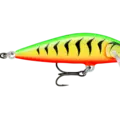 Gilded Fire Tiger