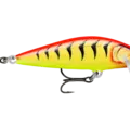 Gilded Hot Tiger