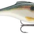 Shad