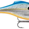 Blue Shad