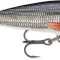 Silver Shiner